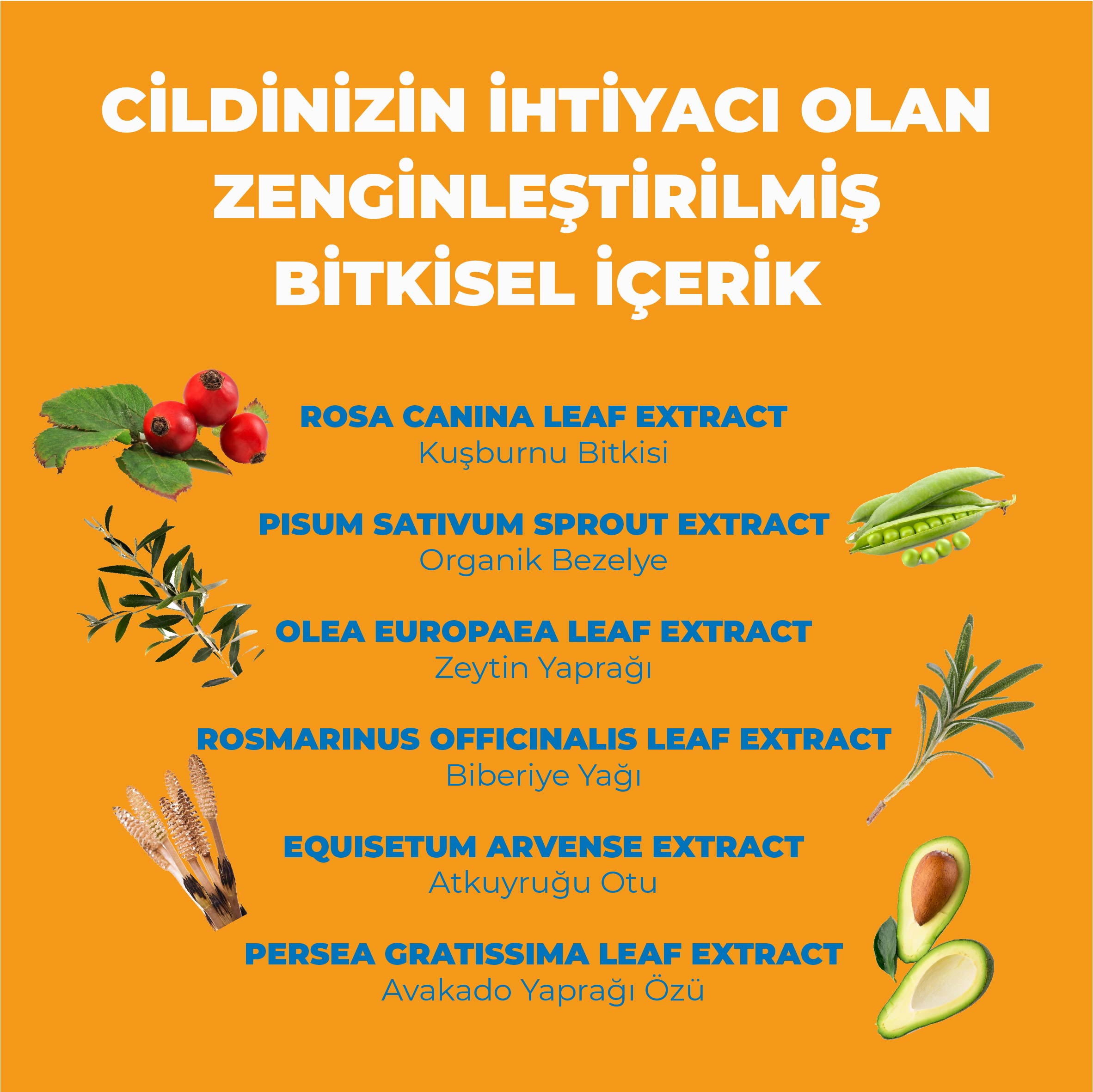 Yüz & Vücut Güneş Kremi - Yüksek Korumalı 50+ Spf & Leke Karşıtı 100ml