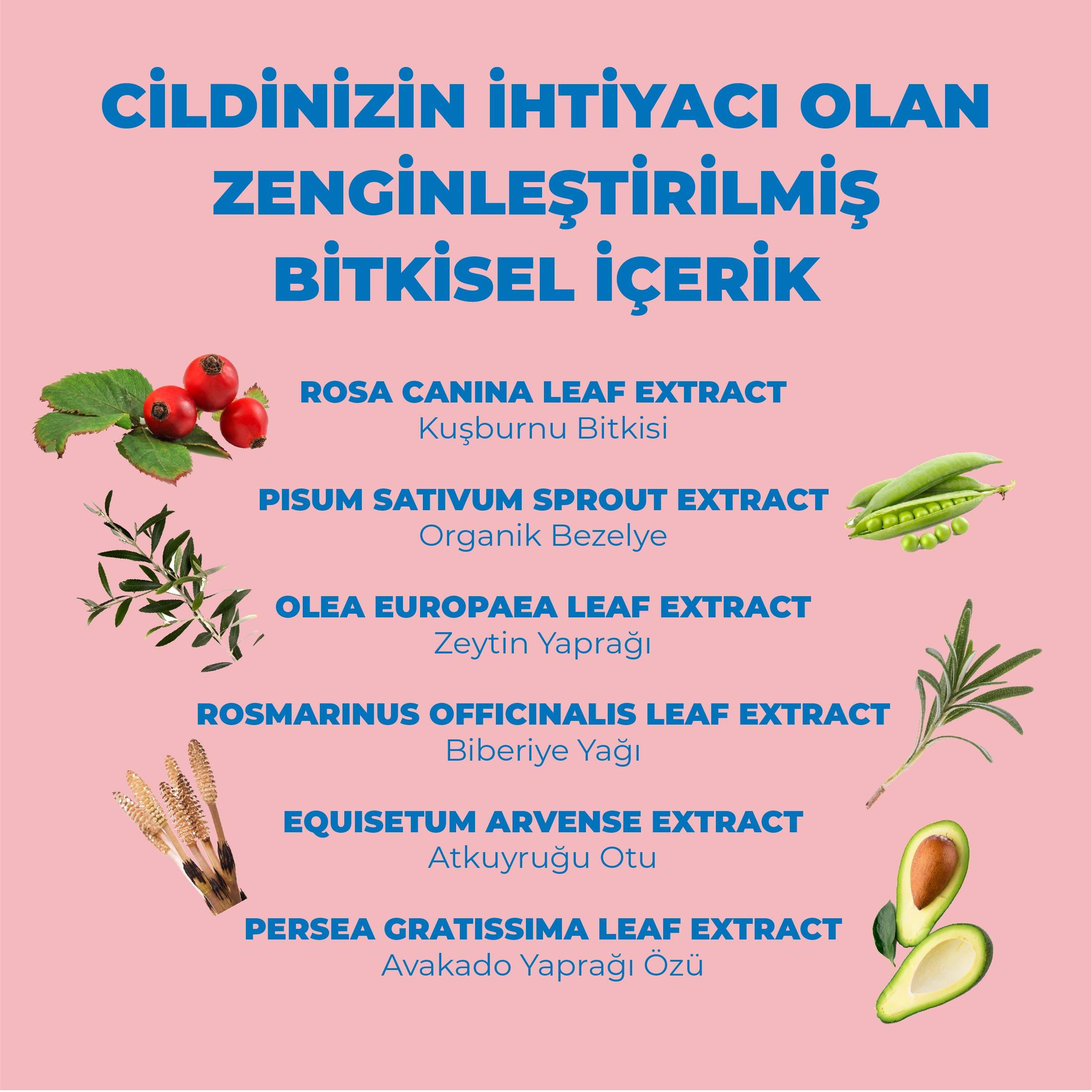 PINK TOUCH 50+ Spf Yüz Güneş Kremi - Aydınlatıcı & Ton Eşitleyici & Leke Karşıtı 75ml